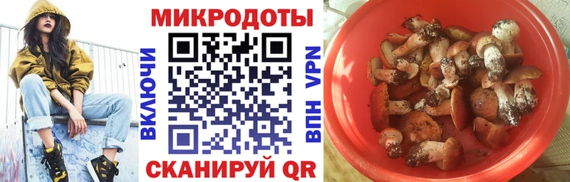 Галлюциногенные грибы GOLDEN TEACHER  Купить закладки  Жуков 